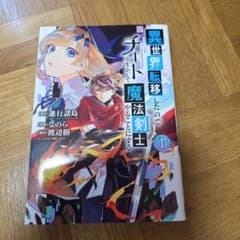 異世界転移したのでチートを生かして魔法剣士をやることにする　最新13巻セットのサムネイル