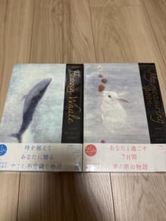 限定愛蔵版 ぼくのメジャースプーン 凍りのくじら 辻村深月 - メルカリ