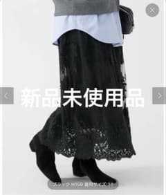 IENAイエナCode Lace チュールスカートブラック38サイズ IENAイエナCode Lace チュールスカートブラック38サイズ - メルカリ