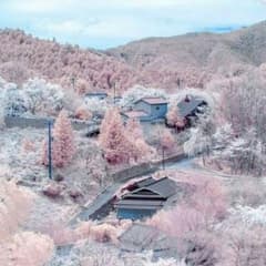 梓さん専用のサムネイル