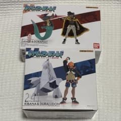 ポケモンスケールワールド ガラル地方 ダンデ&ドラパルト キバナ