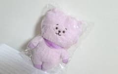BT21(˙︶˙)퍼플 봉제인형 RJ