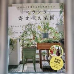 自然の力を借りるから失敗しない ベランダ寄せ植え菜園のサムネイル