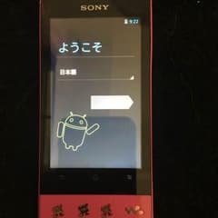 SONY ♡ 訳ありのサムネイル