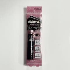 キャンメイク メタルックマスカラ01のサムネイル