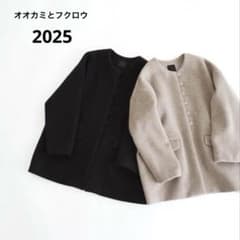 オオカミとフクロウ オオカミと新しい朝と灯りと“がいとう” ウール