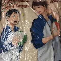ハイキュー クッションのサムネイル
