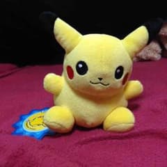 ポケモンぬいぐるみのサムネイル