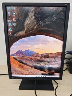 EIZO RadiForce RX250 21.3型　縦型ワイドモニター　57H EIZO RadiForce RX250 21.3型縦型ワイドモニタ 3072H - メルカリ