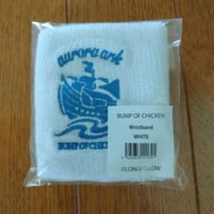BUMP OF CHICKEN aurora ark 팔찌