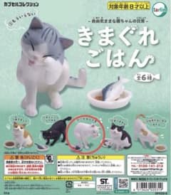 반죽 밥 ④ 잔치 님 흰 고양이