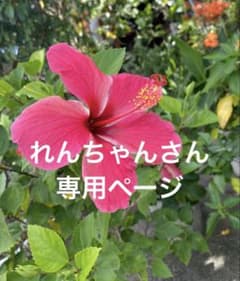ハンドメイドパーツのサムネイル