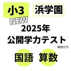 no22508106_【浜学園】小3国語復習テストのフルセット、おまけ付・レア品 最新版 2024年 小3 浜学園 公開学力テスト 公開テスト 算数 国語