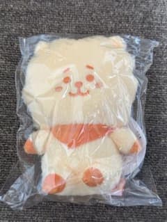 BT21 5주년 기념 봉제인형 오렌지 RJ