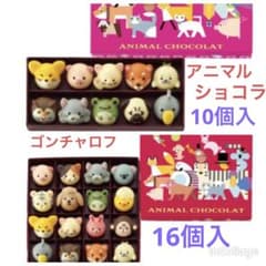 ゴンチャロフ♡アニマルショコラ♡10個入•16個入のサムネイル