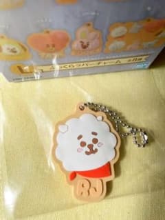 BTS BT21 SWEET MAGIC 고무 매력 RJ