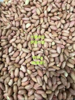 農家直送千葉県産落花生訳あり品 - メルカリ