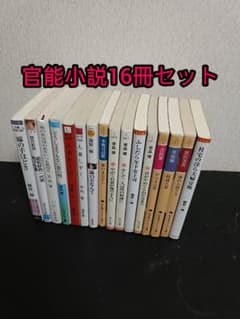 관능 소설 16권 세트
