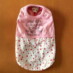 小型犬 洋服のサムネイル