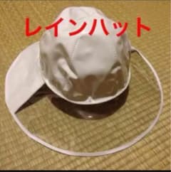 レインハットのサムネイル