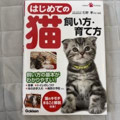 はじめての猫 飼い方・育て方のサムネイル