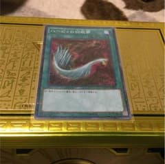 即購入可!! ハーピィ羽根箒のサムネイル