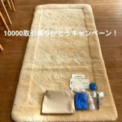 エクセルヒューマン　ムートン座布団2枚セット エクセルヒューマン ムートン座布団2枚セット 【公式通販】