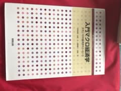 入門マクロ経済学 大きくつかむ経済学のエッセンスのサムネイル