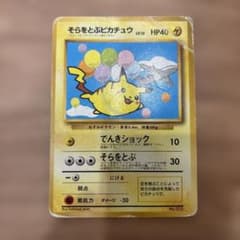そらをとぶピカチュウ_ANA 「ジェットでゲットだ！Wチャンス