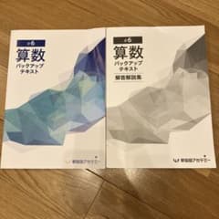 早稲田アカデミー 小6 算数 バックアップテキスト 解答集付き - メルカリ