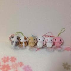 ベェちゃん様 専用☆ぷちまる♡のサムネイル
