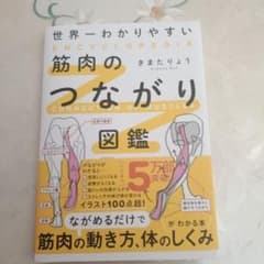 世界一わかりやすい 筋肉のつながり図鑑のサムネイル