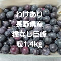 わけあり長野県産種なし巨峰粒1.4kgのサムネイル