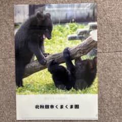 北秋田市くまくま園のA4クリアファイルのサムネイル