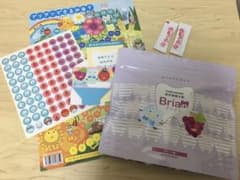 maaさん専用　ブリアン歯磨き粉　ぶどう60 いちご2のサムネイル