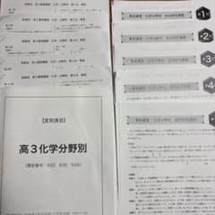 【鉄緑会】2024年度版 高3夏期講習 化学分野別 テキスト・解答セットのサムネイル