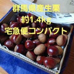 群馬県産丹波生栗約1.4kgのサムネイル
