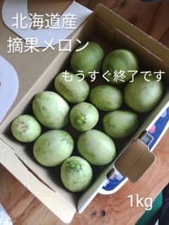 摘果メロン 1kg　めろんこ　すぐりメロンのサムネイル