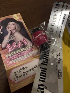 浜崎あゆみ　2025年　超大吉　ミニ提灯キーホルダー 浜崎あゆみ 2025年 超大吉 ミニ提灯キーホルダー - メルカリ