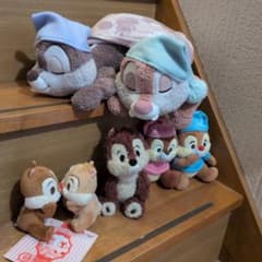 칩과 거래 공식 박제 세트