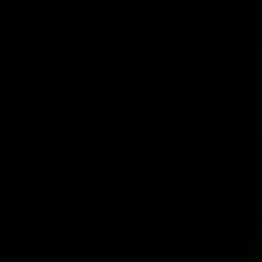 ZRX エルサウンドマフラーのサムネイル