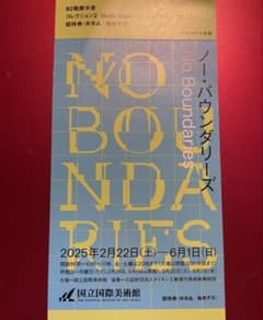 国立国際美術館 特別展 ノー・バウンダリーズ 観覧券 1枚のサムネイル
