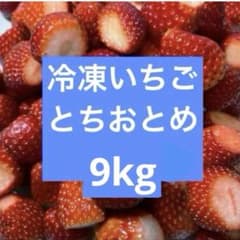 SALE中★冷凍いちご とちおとめ 12kg 冷凍いちご とちおとめ 9kg - メルカリ