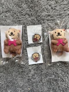 アオキスーパーぬいぐるみ＆ピンバッジ セットのサムネイル