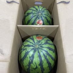 95千葉県産まるあさ大玉スイカ訳あり良品4Lサイズ1箱2玉入り - メルカリ