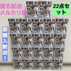 KING OF ARTIST 루피 GEAR5 Ⅱ 22점 세트