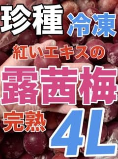 2409❄️クール便 冷凍完熟露茜梅(つゆあかね)4L〜5Lサイズ5kg 2303❄️クール便 冷凍完熟露茜梅(つゆあかね)4L〜5Lサイズ3kg - メルカリ
