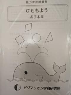 ひももよう お手本集 ピグマリオンのサムネイル