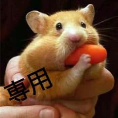 mippiさん専用のサムネイル