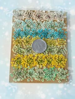 新作!!レースフラワーの押し花*no.7のサムネイル